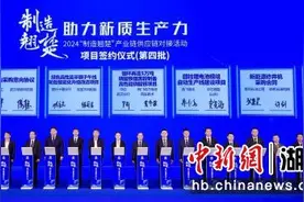 2024“制造翘楚”产业链供应链对接活动武汉启幕图片