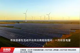 云南能投：2025年1月新能源发电量3.39亿千瓦时 上网电量3.28亿千瓦时 市场化交易均价0.283元/千瓦时视频封面