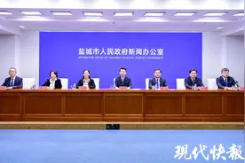 盐城亭湖：昂首逐绿，向“新”向美图片