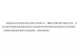 安徽阜阳颍东农村商业银行股份有限公司党委书记、董事长姚清接受审查调查图片