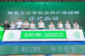 隰县玉露香梨品牌升级战略发布会在太原举行图片