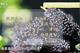 春季营养清单+1！一把小桑葚给身体带来3个好处图片