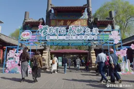 “泉”在济南，迎春赏花图片