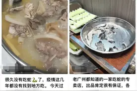 广州辟谣蛇可食用之后：知名餐厅收手，暗访发现有食肆仍卖蛇图片
