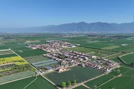 山西永济：牡丹花正艳  农旅添活力图片