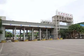 越南荔枝“鲜”入中国！河口口岸迎来进口旺季图片