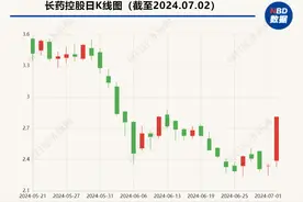 十堰国资背景人士履新长药控股董事长 公司股价应声涨停图片