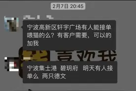 宠物寄养VS上门喂养，长假期间，你的宠物“留守”了么？图片