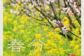 时光相册 | 图说节气：春分印象图片
