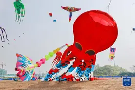 全国风筝邀请赛江苏如东开赛图片