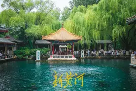 雨水助力，趵突泉水位再涨6厘米图片