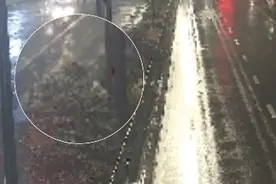 下班途中遇95岁迷路老人，小伙暖心守护……图片