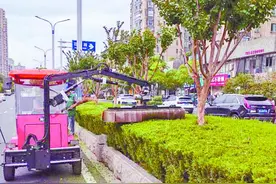 马鞍山：道路绿化养护用上“神器”图片