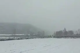 立夏将至，河北承德下起暴雪！图片