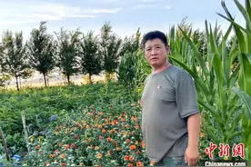 （沿着边境看中国 美丽新疆展风华）护边员赛力克的巡边护边故事图片