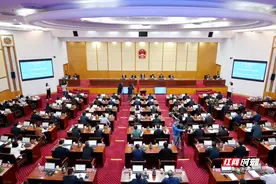 湖南：人大代表谈如何提高未成年人网络素养图片