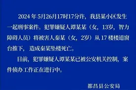 13岁智力障碍女孩将2岁女童推下楼，警方通报图片