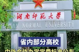 湖南省内部分高校中外合作办学学费标准公布图片