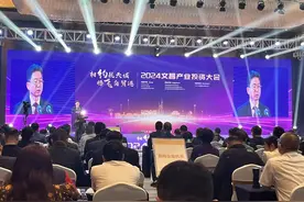 高质量发展看海南丨文昌召开2024产业投资大会  45个项目签约金额56.65亿元图片