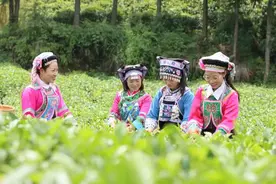 【普安红浸泡出来的“贵州奋斗”（三）】冉家四姐妹：在市场扬弃中协力做强一个企业图片