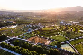 建行重庆市分行：践行社会公益 助力乡村振兴图片