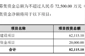 利润大滑坡咋办？“植脂末第一股”佳禾食品5.5亿元押注咖啡赛道图片