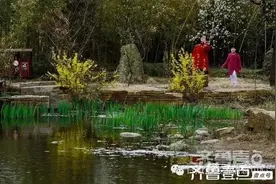 吃蚂蚱图片
