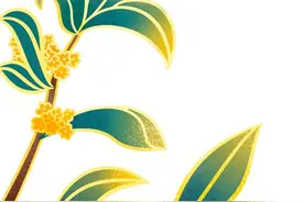 重阳话传统  荣退敬芳华——昆明中院组织“重阳节”离退休干部座谈会暨“荣退仪式”图片