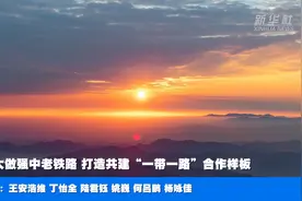 做大做强中老铁路 打造共建“一带一路”合作样板图片