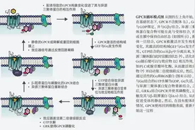 怎样的研究一直被诺奖青睐？图片