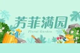芳菲满园丨黄梅雨季，可千万别让它们淋雨图片