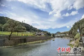 朝六晚九“取经”乡村运营背后 浙江农村“谋”什么？图片