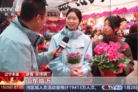 今年春节怎么过？走进大街小巷感受浓浓年味图片