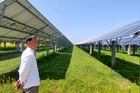 “农”“光”有别，濮阳3500余亩光伏项目土地性质起争议图片