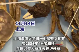 全国河蟹大赛在沪举行 专家：今年能以“腰斩价”品尝到历史最好大闸蟹图片