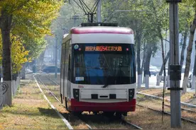 在落叶满地的街头走走，感受城市的诗意图片