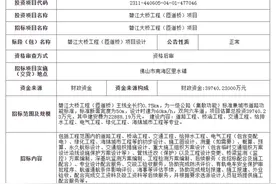 碧江大桥招标！沉香大桥公示！金沙洲3条新桥均迎新进展图片