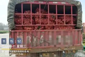 紫薯非薯？大货车运紫薯下高速是否该收900元过路费？图片