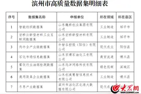 滨州7个高质量数据集入选省级奖补名单 赋能产业升级再添新动力图片