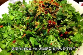 今日科普 | 不吃香菜是天生的？还与基因有关？图片