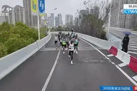 2025武汉马拉松开跑 赛会纪录被刷新图片
