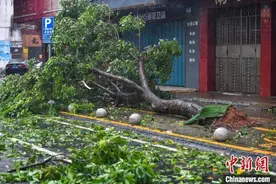 超强台风“摩羯”袭击海南：楼房明显晃动，小车被风掀翻图片