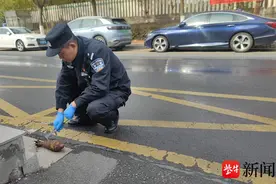 两地接连发现炮弹，民警提醒：不要搬动，切记！图片
