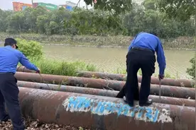 宝山这里设置便民疏导点，有效提升城市“烟火气”图片