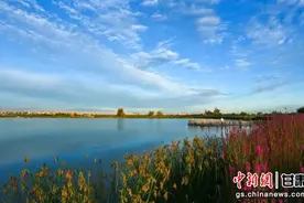 点击量不止“亿”点点！张掖凭实力再次出“圈”图片
