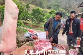 桐梓新站：杀年猪 迎新年 乡村年味浓起来图片