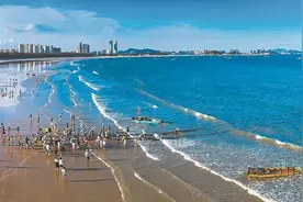 美丽海湾养成记图片