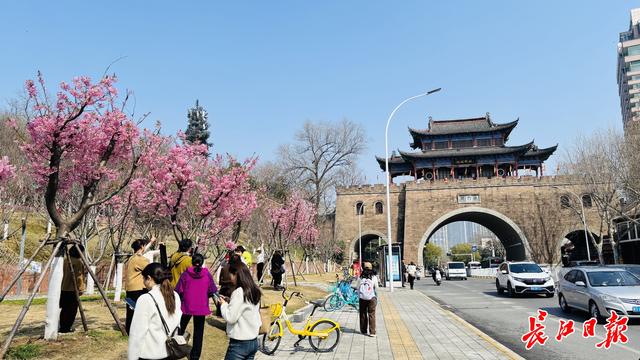 “武汉人这一辈子，都应该走一趟这里”   一桥两山亲子走读线路来了