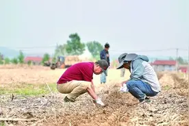“机器换人” 服务农耕全流程图片