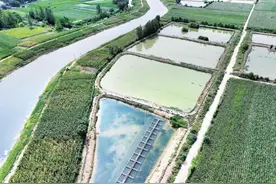 阜阳市颍东区：蟹肥满塘迎丰收图片